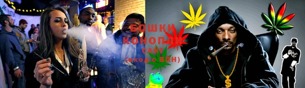 шишки Новозыбков