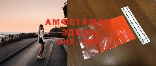 шишки Новозыбков