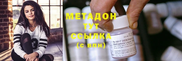 шишки Новозыбков