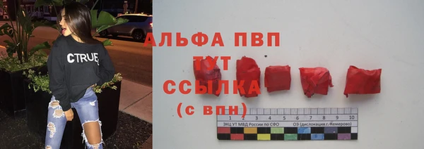 шишки Новозыбков