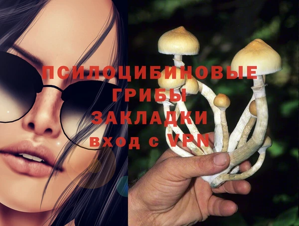 шишки Новозыбков