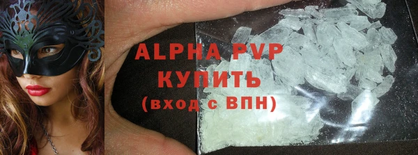 шишки Новозыбков