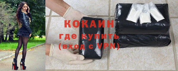 шишки Новозыбков
