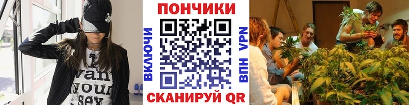 Марихуана сатива  закладки  Великий Устюг 