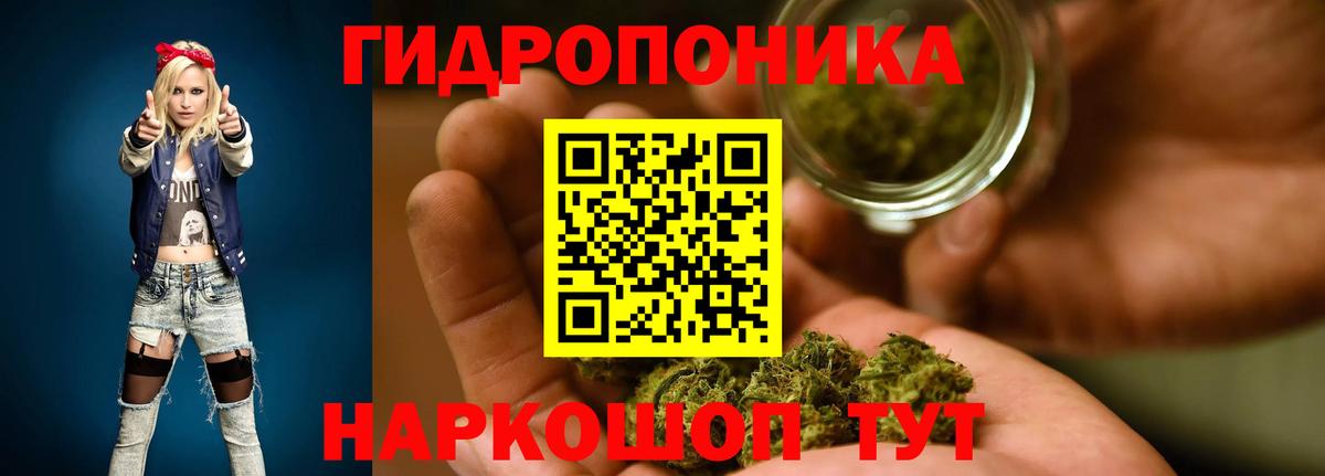 Бошки Шишки ГИДРОПОН Великий Устюг